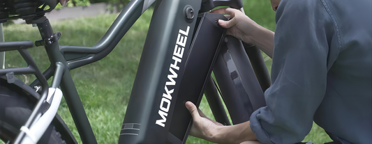 Lo que necesita saber sobre las baterías de bicicletas eléctricas