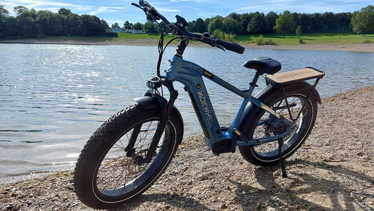 5 consejos para aumentar el alcance de su eBike - una guía completa